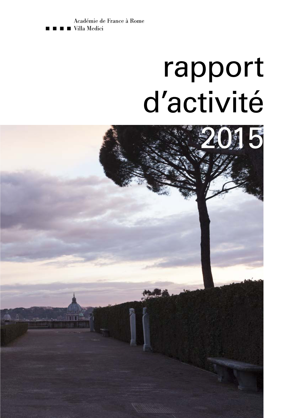 Rapport D'activité 2015