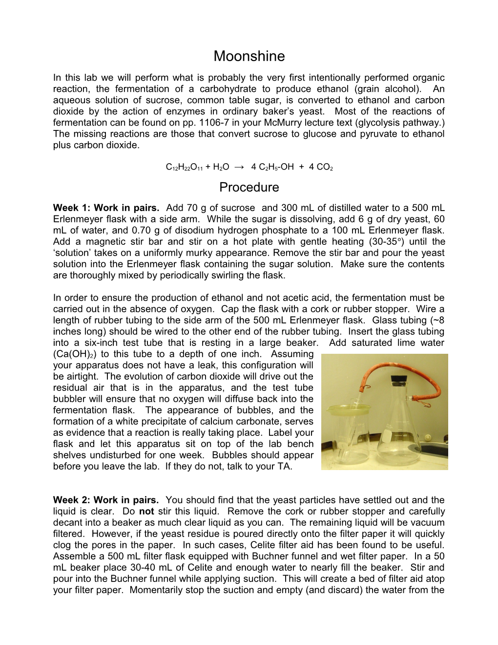 Fermentation of Sucrose