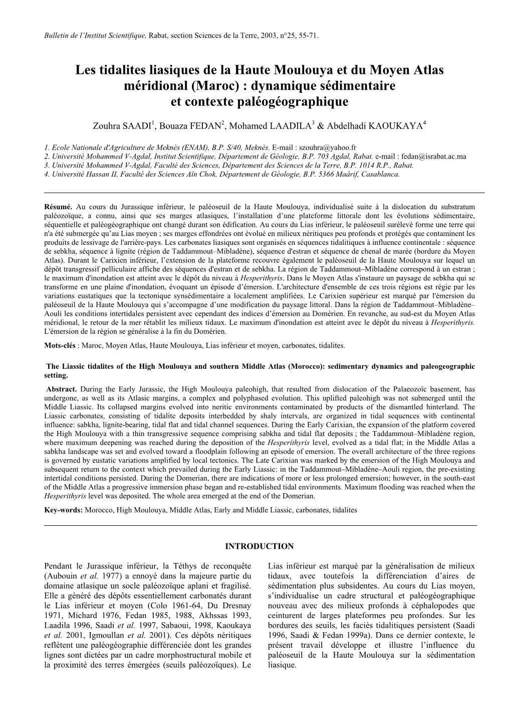 Les Tidalites Liasiques De La Haute Moulouya Et Du Moyen Atlas Méridional (Maroc) : Dynamique Sédimentaire Et Contexte Paléogéographique