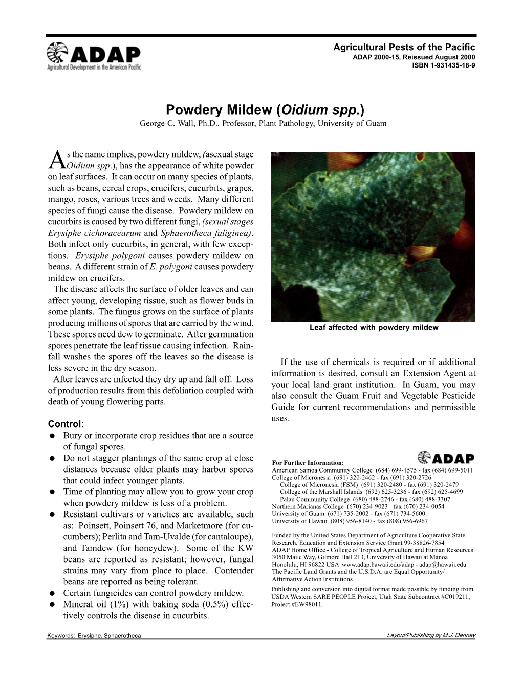 Powdery Mildew (Oidium Spp.) George C
