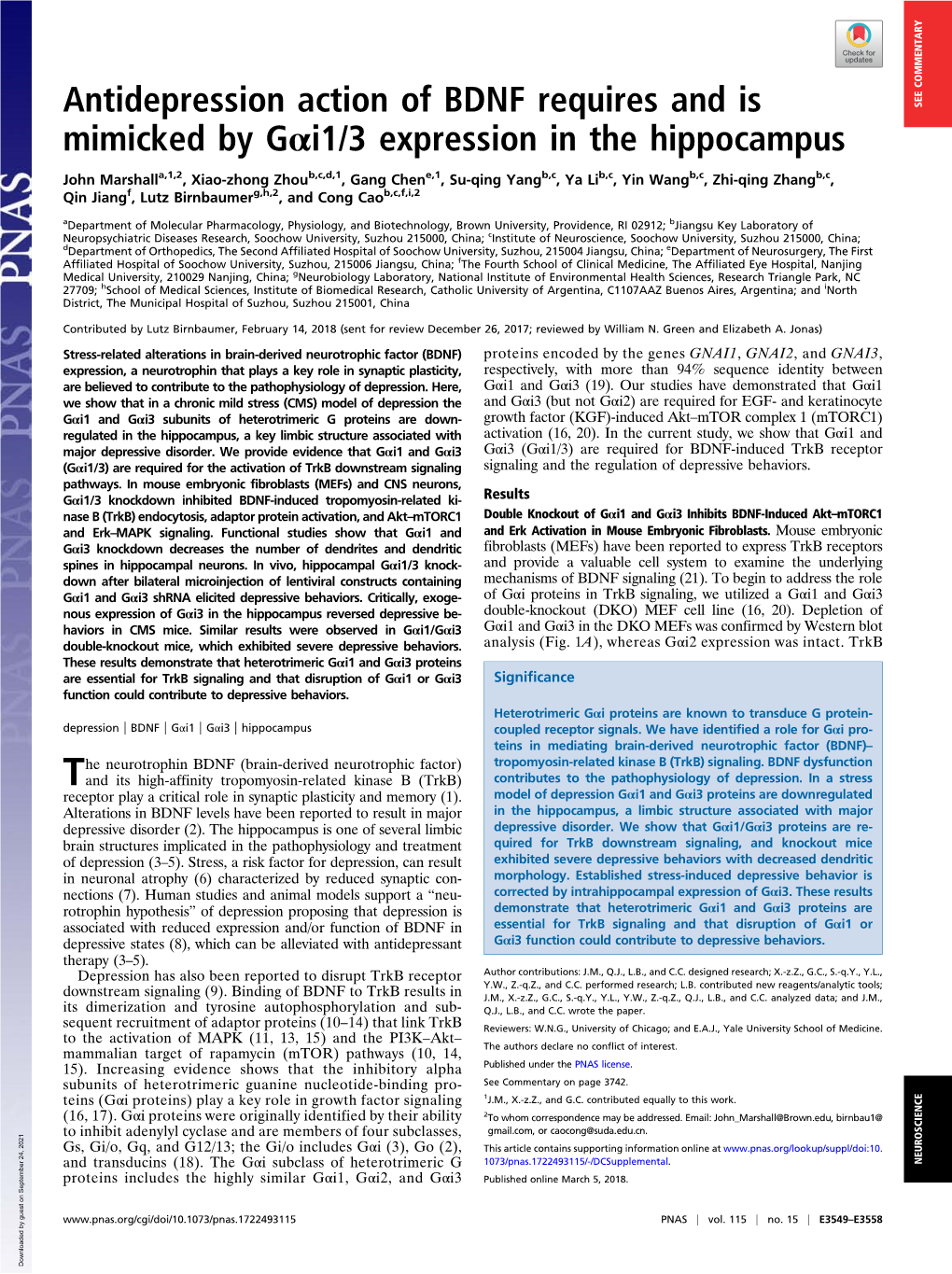 Antidepression Action of BDNF Requires and Is Mimicked by Gαi1/3