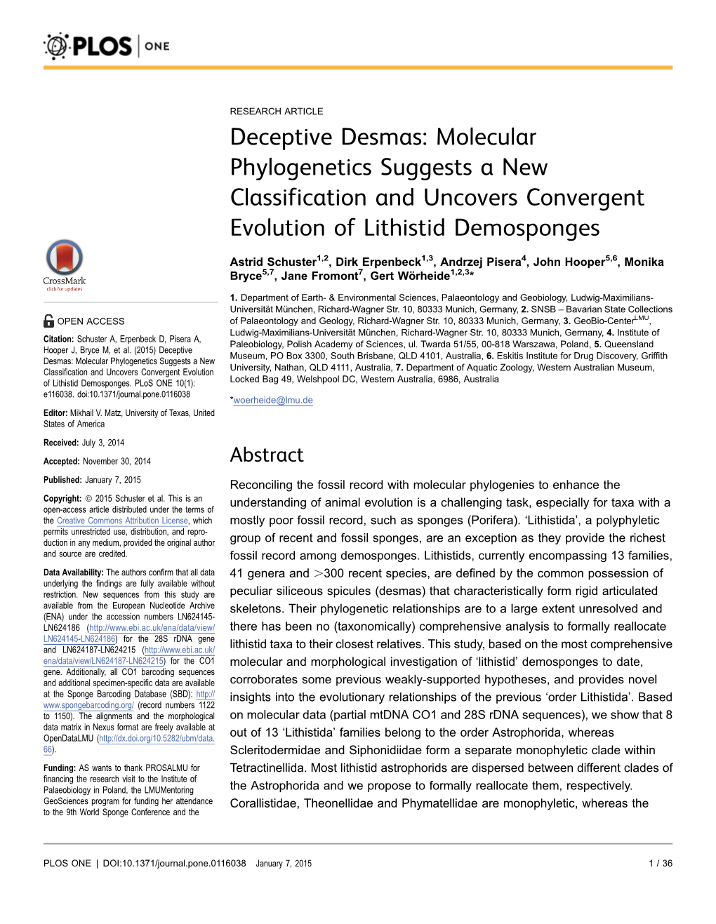 Molecular Phylogenetics Suggests a New Classification and Uncovers Convergent Evolution of Lithistid Demosponges