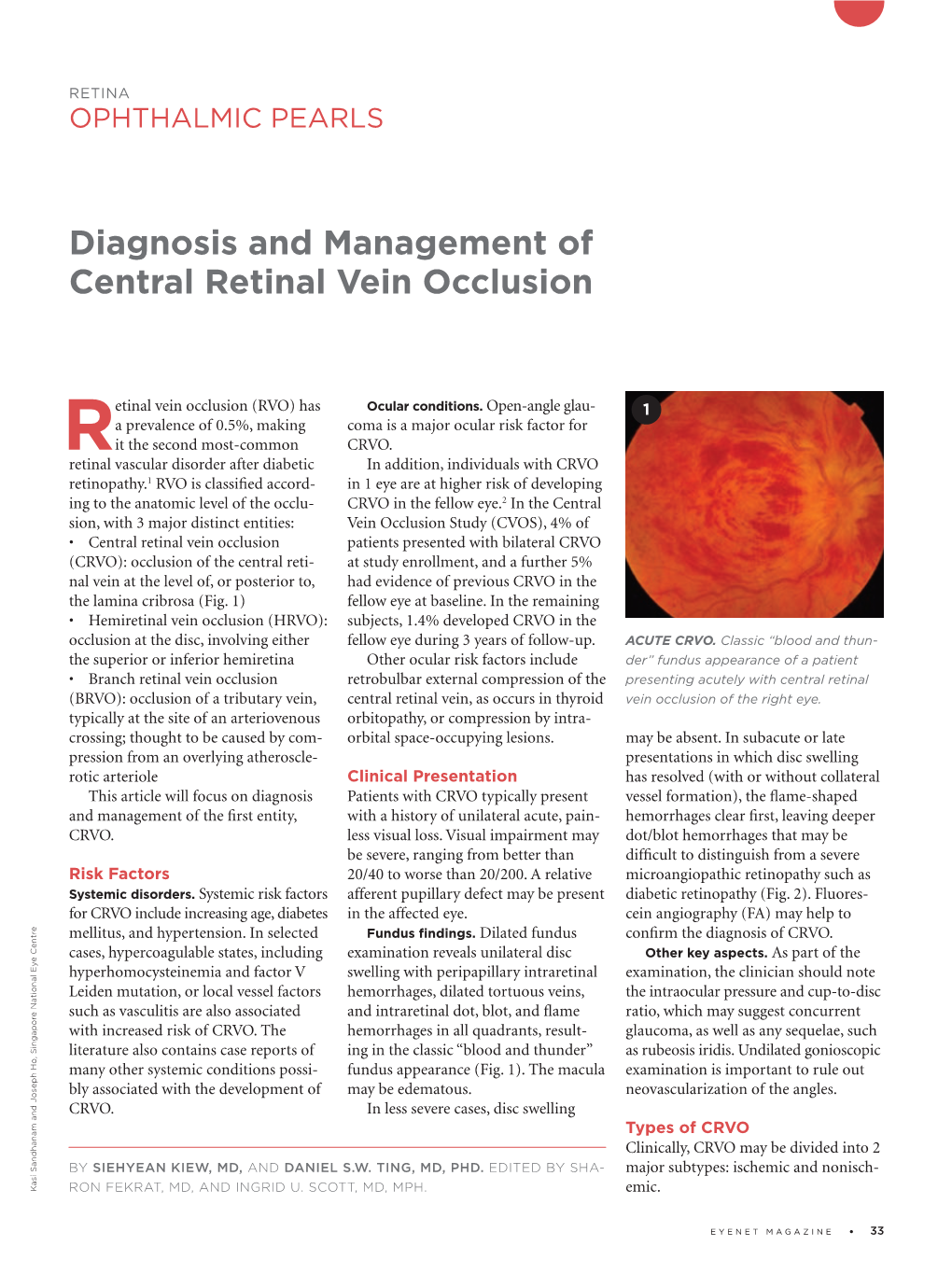 Diagnosis and Management of Central Retinal Vein Occlusion