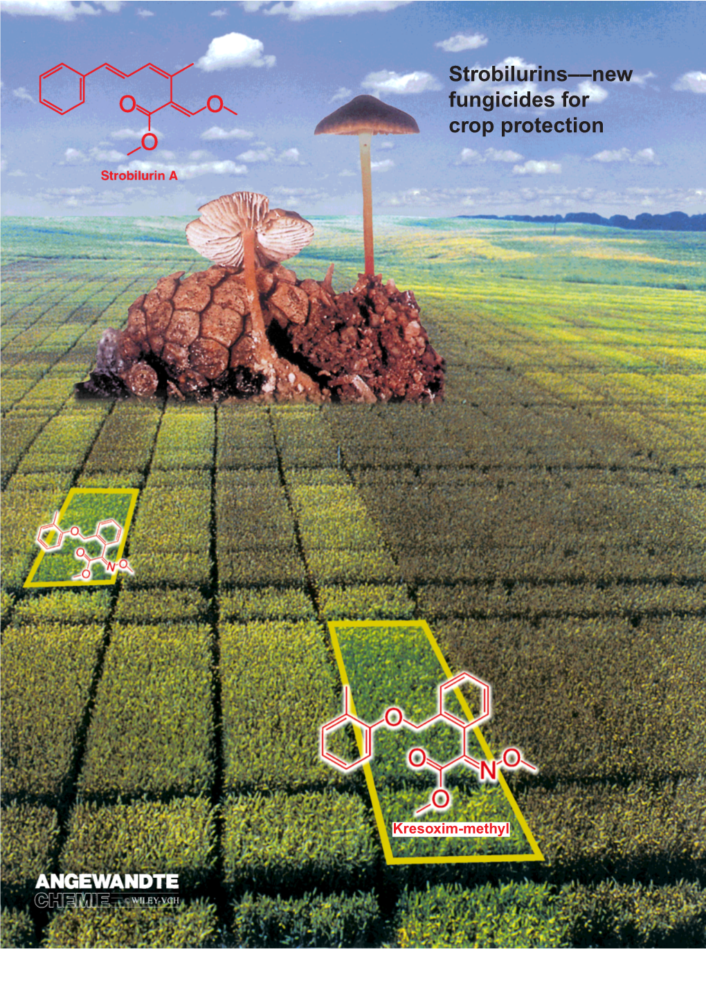 Strobilurins: Evolution of a New Class of Active Substances