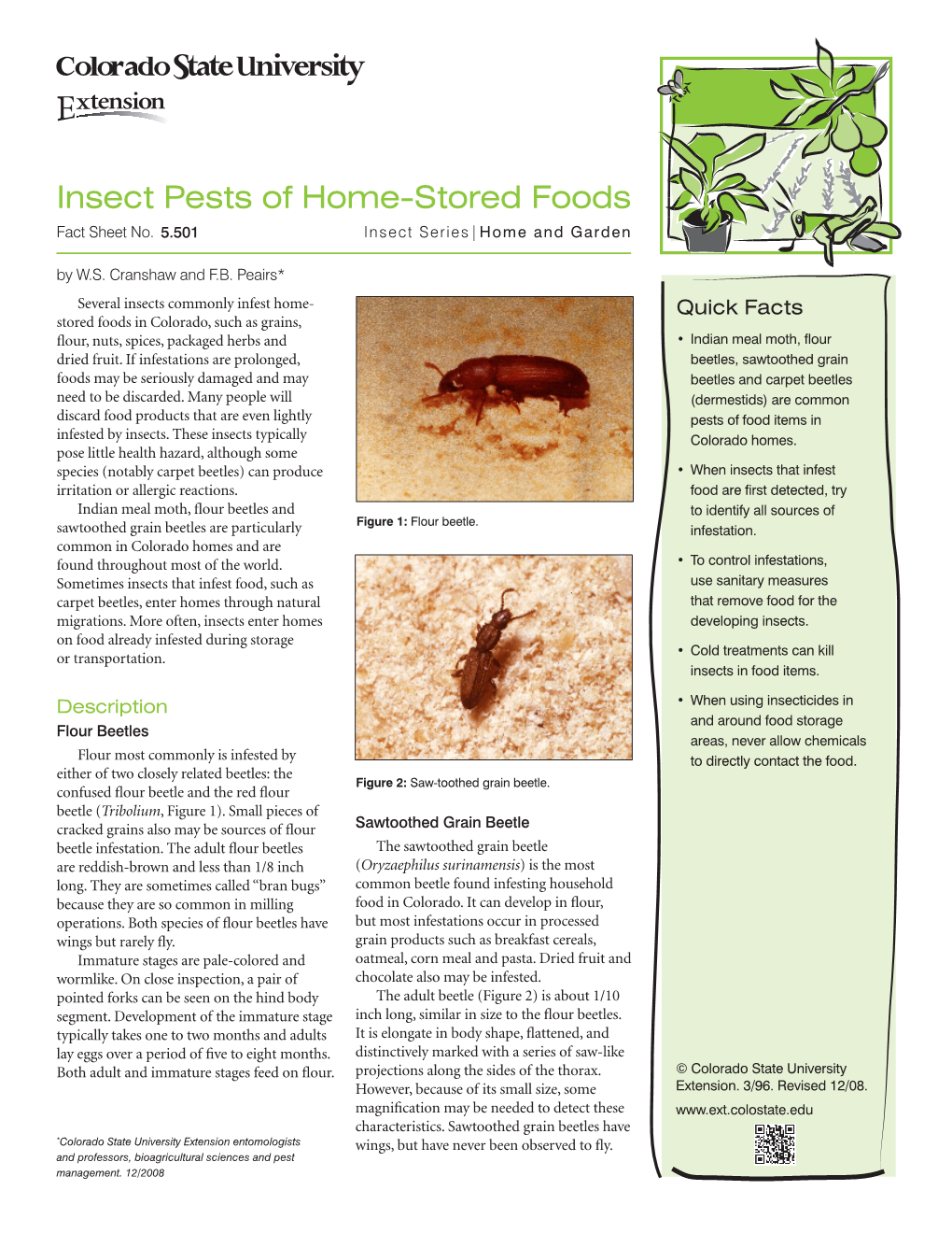Insect Pests of Home-Stored Foods Fact Sheet No
