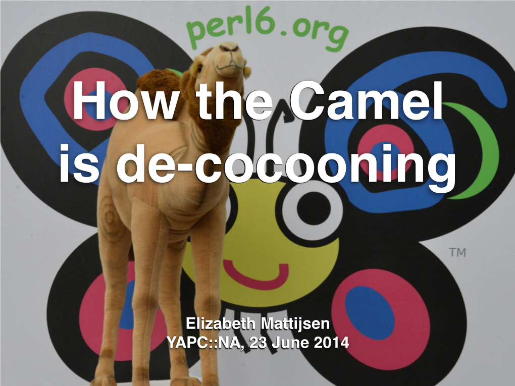 How the Camel Is De-Cocooning (YAPCNA)