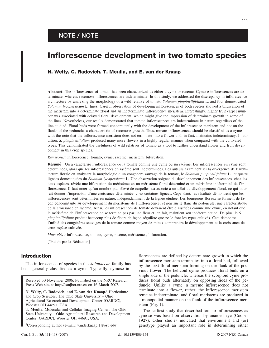 Inflorescence Development in Two Tomato Species