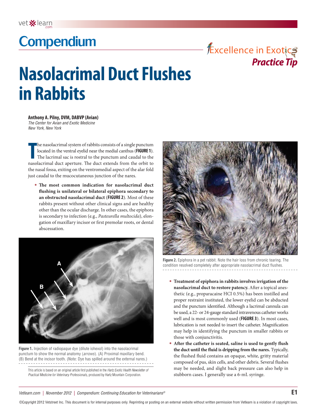 Nasolacrimal Duct Flushes in Rabbits