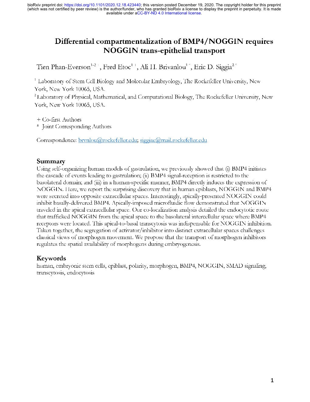 Differential Compartmentalization of BMP4/NOGGIN Requires NOGGIN Trans-Epithelial Transport