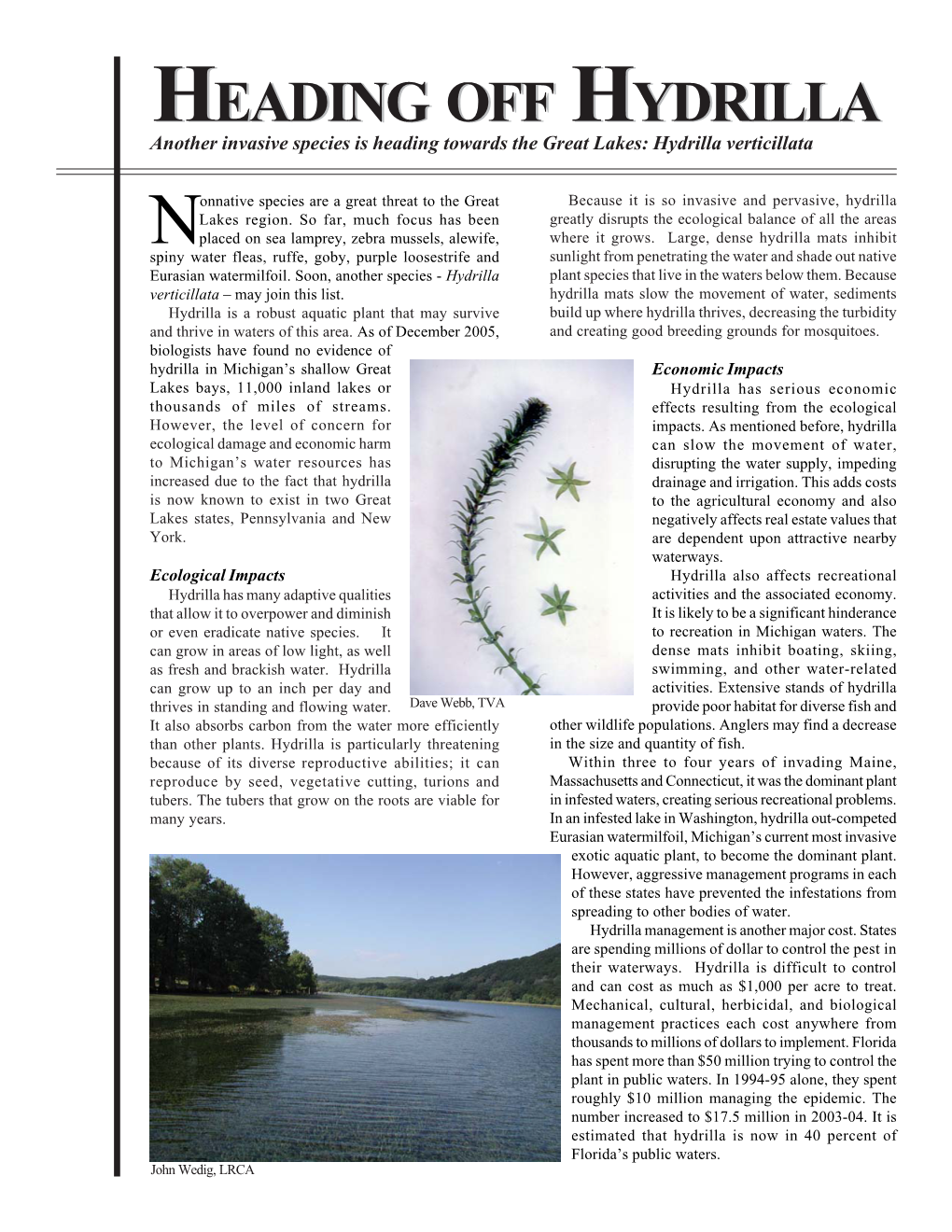 Hydrilla Fact Sheet