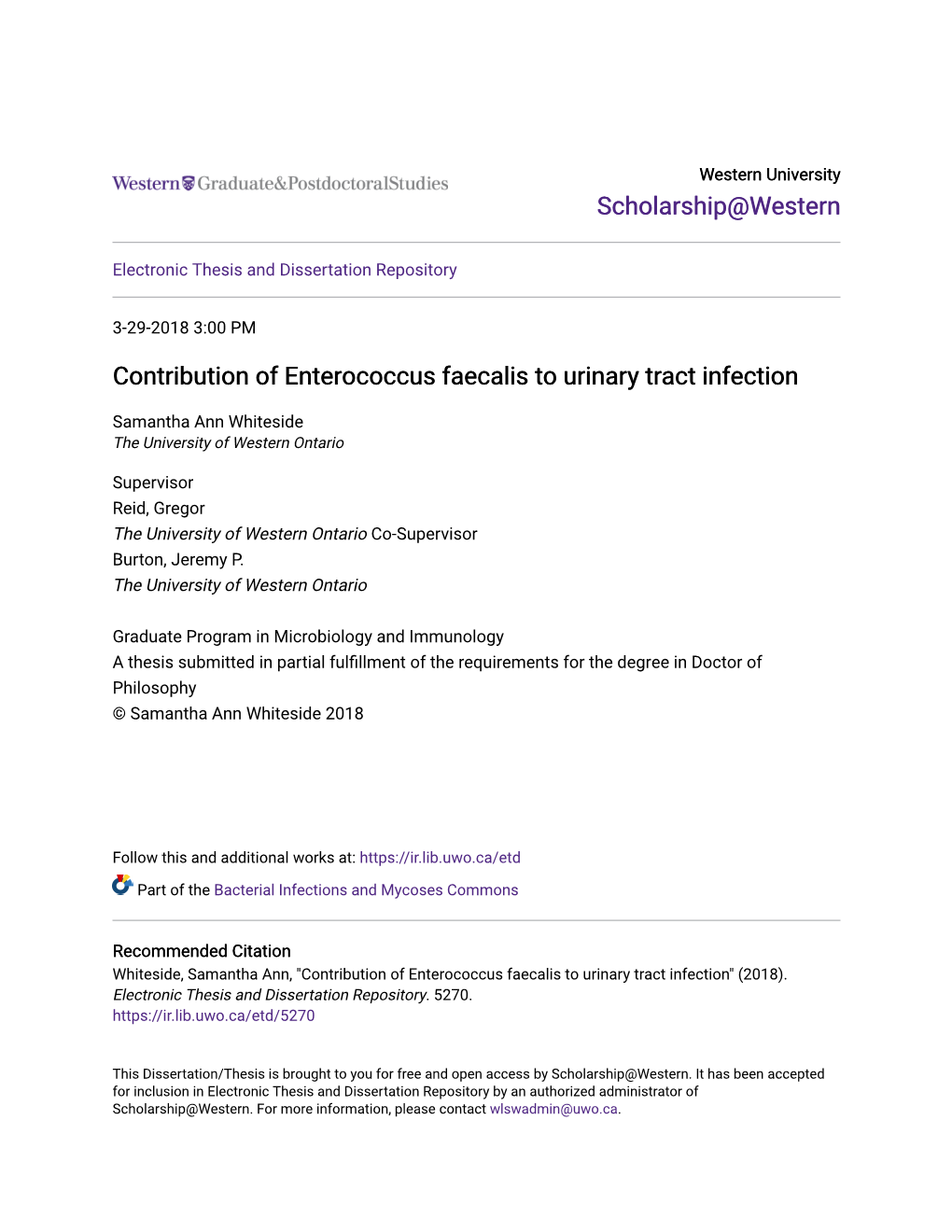 Contribution of Enterococcus Faecalis to Urinary Tract Infection