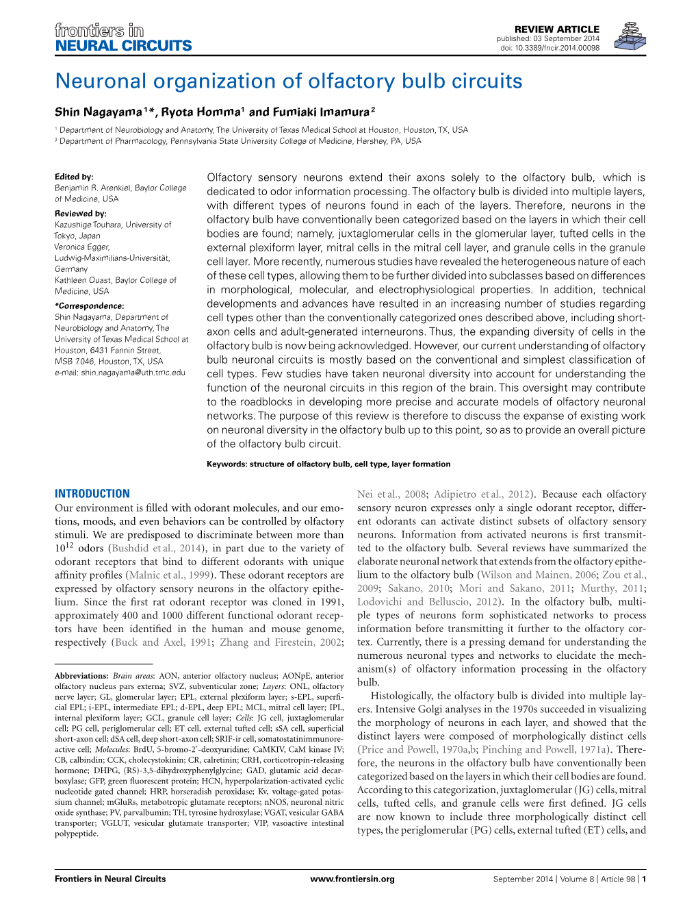 Neuronal Organization of Olfactory Bulb Circuits