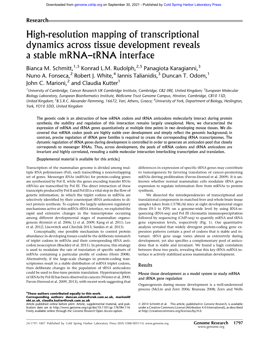 High-Resolution Mapping of Transcriptional Dynamics Across Tissue Development Reveals a Stable Mrna–Trna Interface