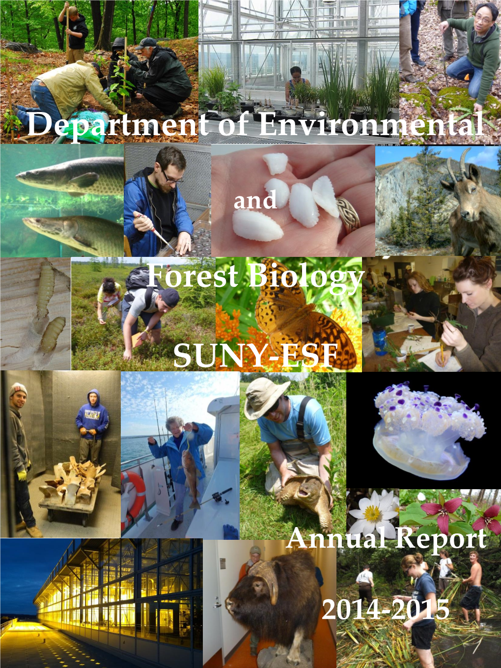 Department of Environmental Forest Biology SUNY-ESF