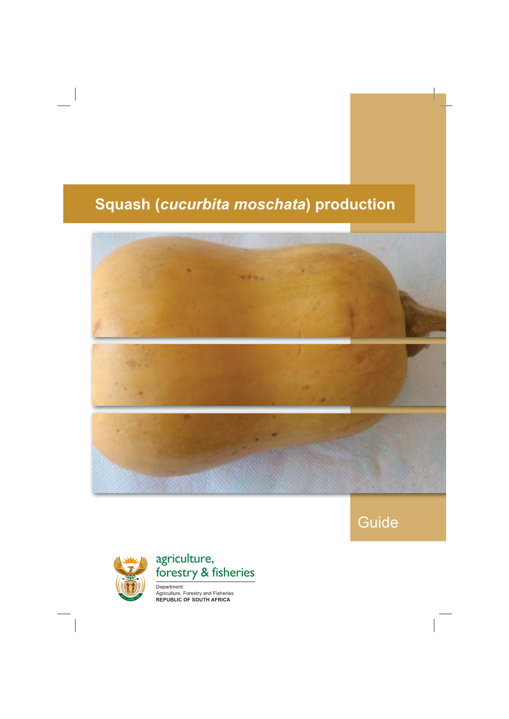 Squash (Cucurbita Moschata) Production