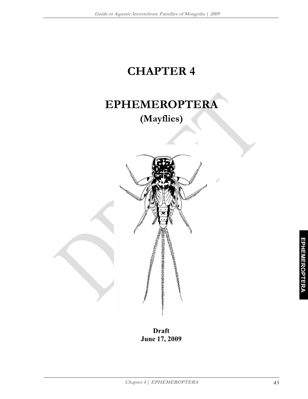 CHAPTER 4: EPHEMEROPTERA (Mayflies)