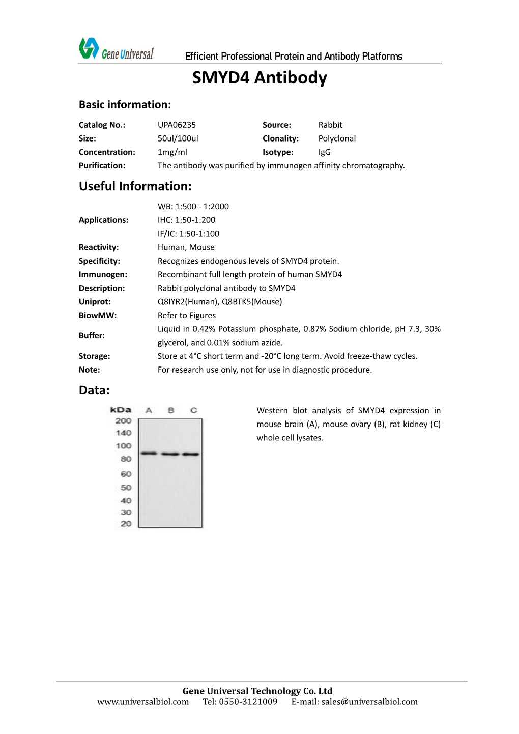 SMYD4 Antibody