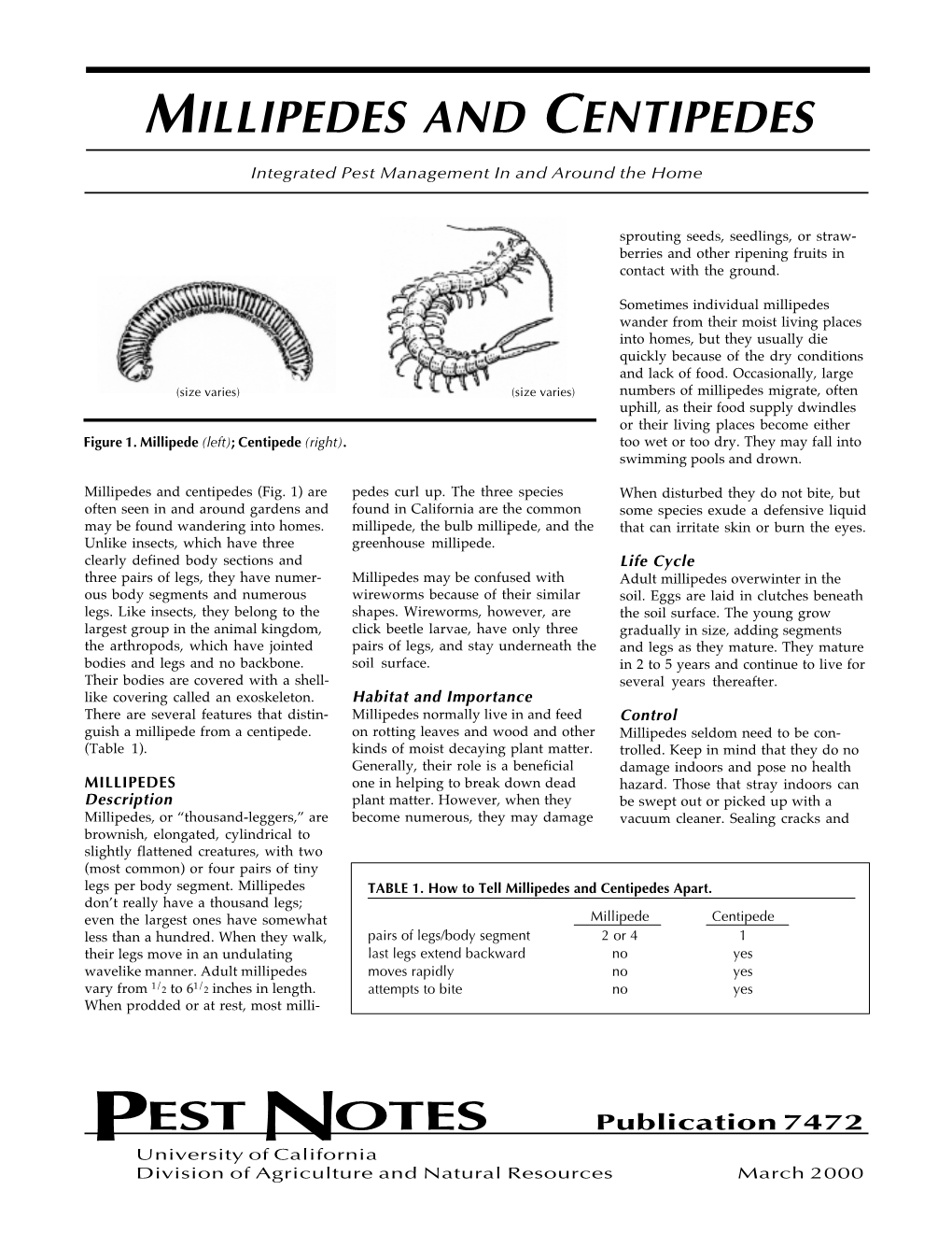 Millipedes and Centipedes