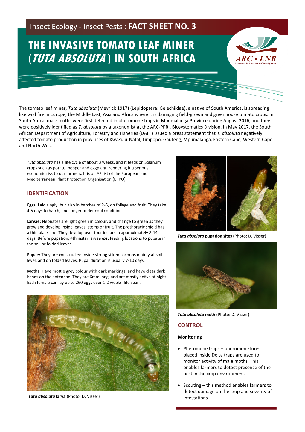 The Invasive Tomato Leaf Miner (Tuta Absoluta ) in South Africa