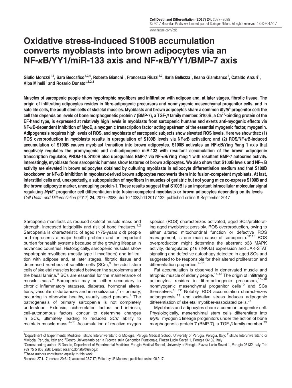 Oxidative Stress-Induced S100B Accumulation Converts Myoblasts Into Brown Adipocytes Via an NF-Κb/YY1/Mir-133 Axis and NF-Κb/YY1/BMP-7 Axis