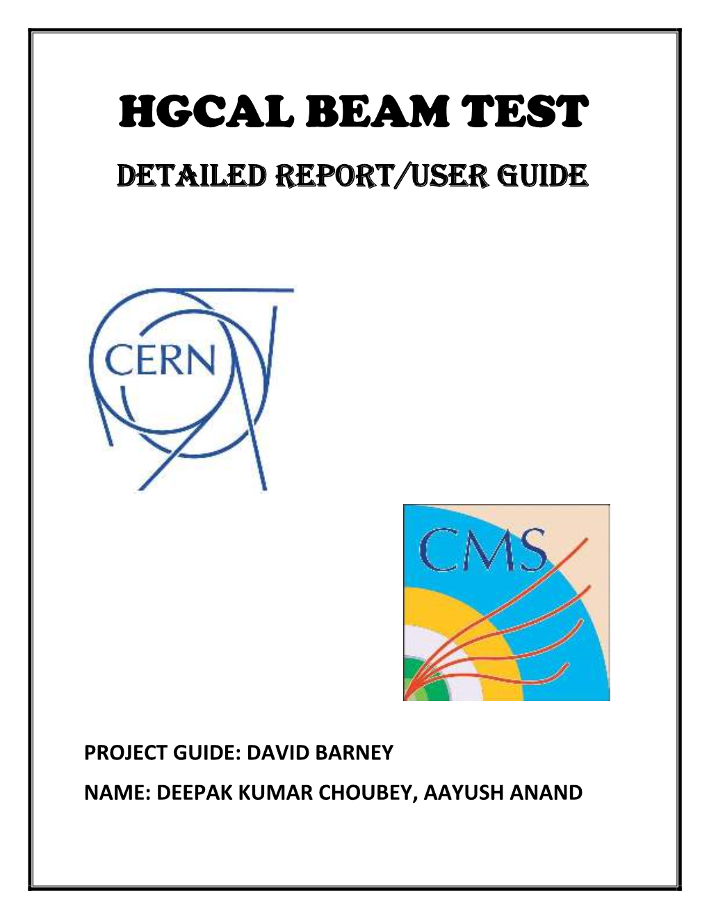 HGCAL BEAM TEST Detailed Report/User GUIDE