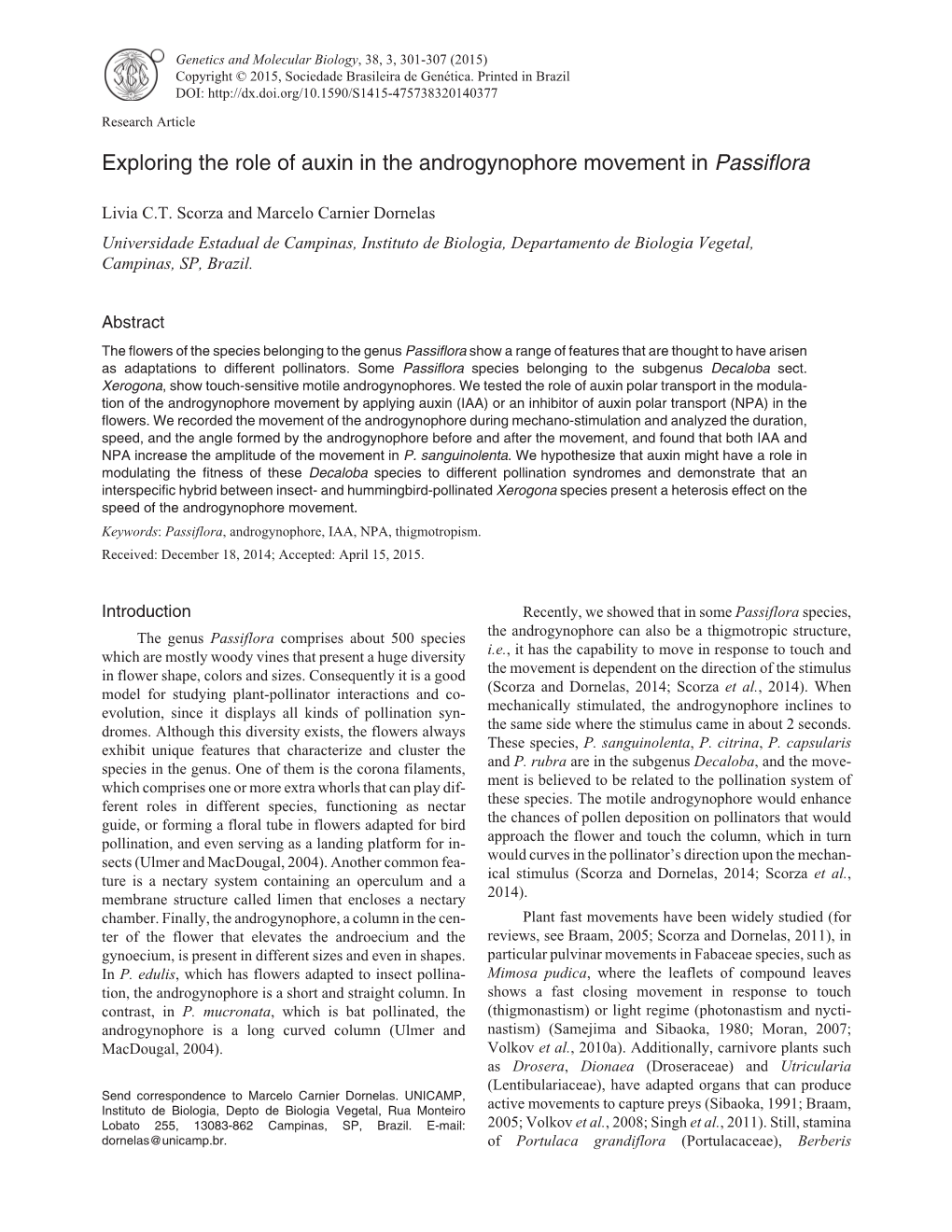 Exploring the Role of Auxin in the Androgynophore Movement in Passiflora