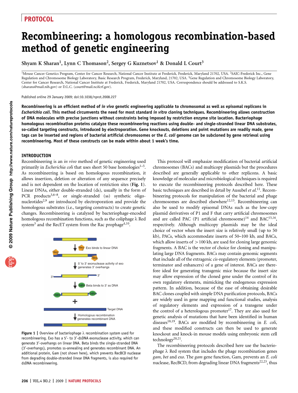 A Homologous Recombination-Based Method of Genetic Engineering