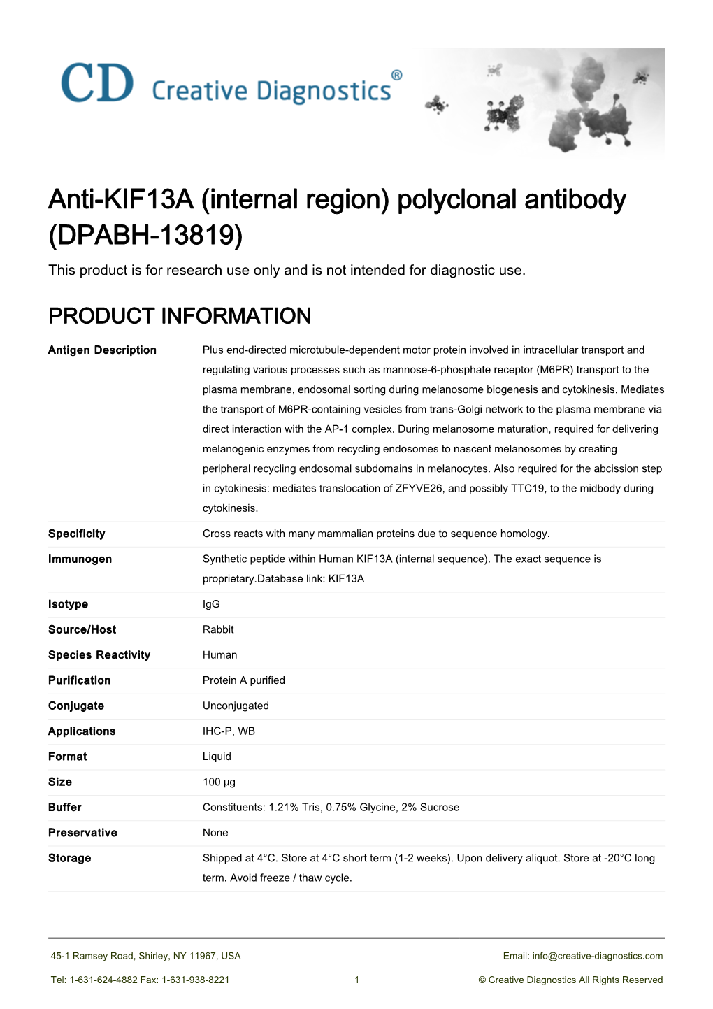 Anti-KIF13A (Internal Region) Polyclonal Antibody (DPABH-13819) This Product Is for Research Use Only and Is Not Intended for Diagnostic Use