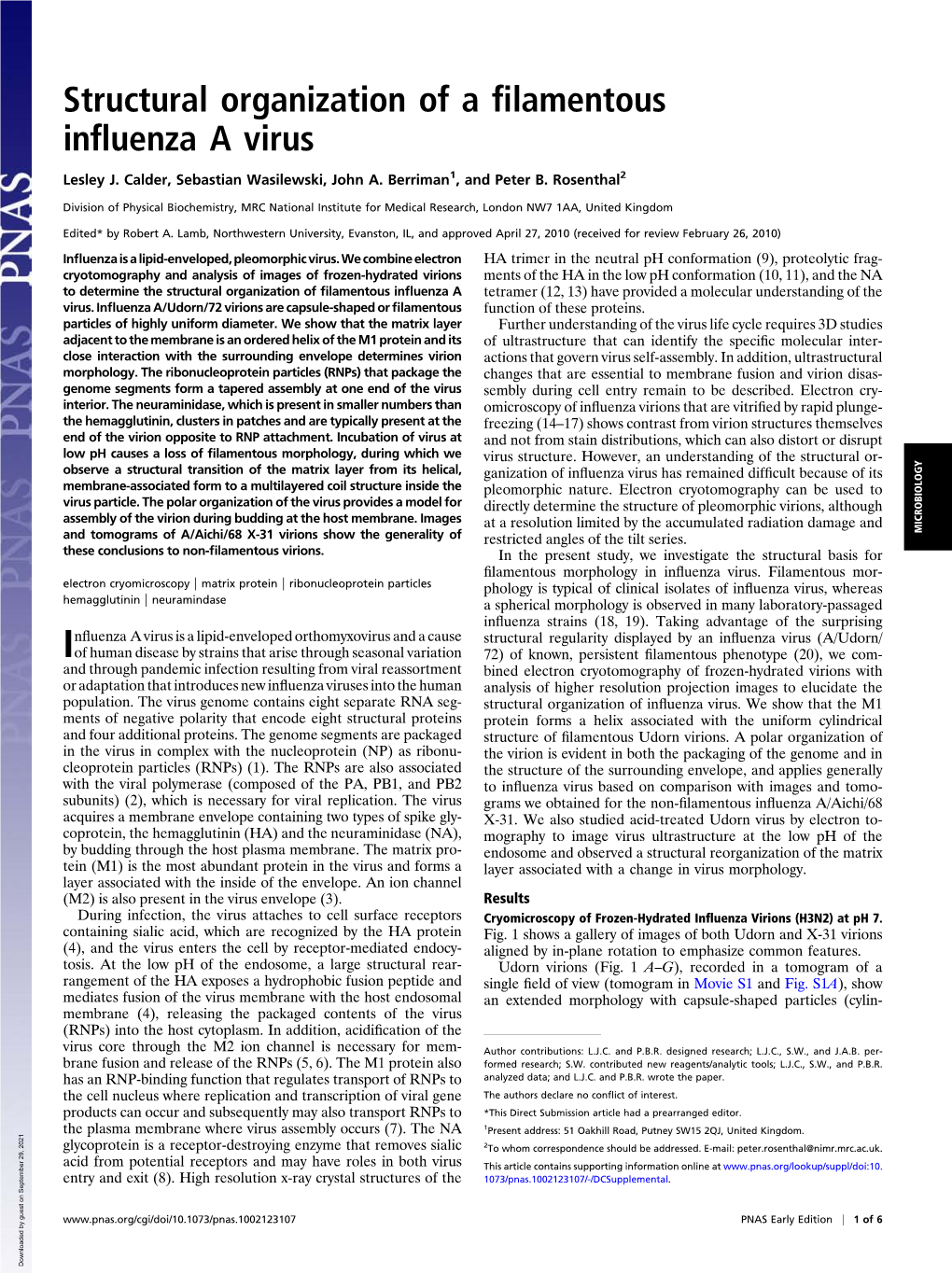 Structural Organization of a Filamentous Influenza a Virus