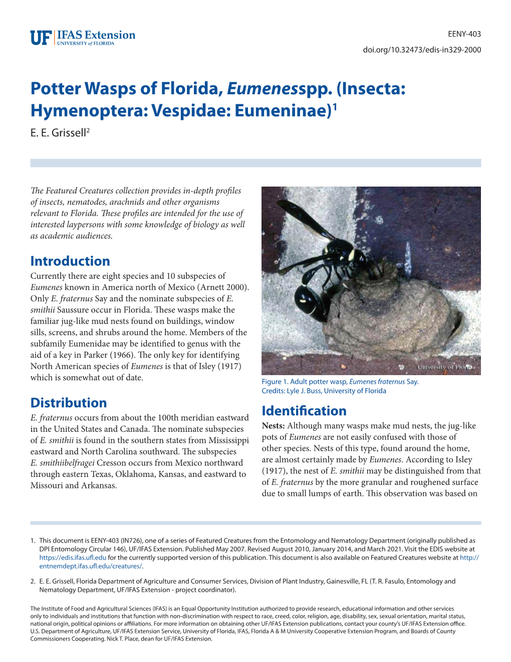 Potter Wasps of Florida, Eumenesspp