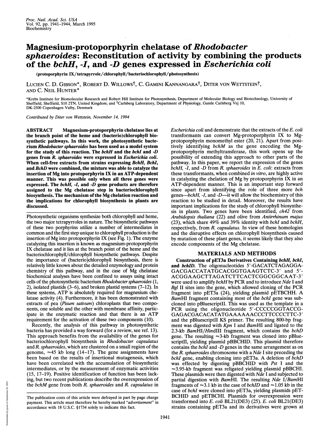 Magnesium-Protoporphyrin Chelatase of Rhodobacter