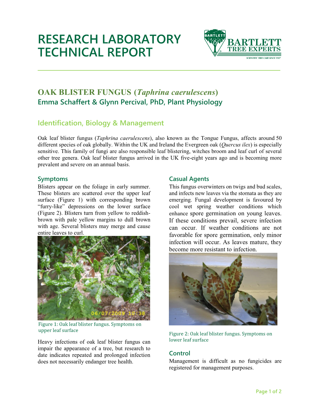 OAK BLISTER FUNGUS (Taphrina Caerulescens) Emma Schaffert & Glynn Percival, Phd, Plant Physiology