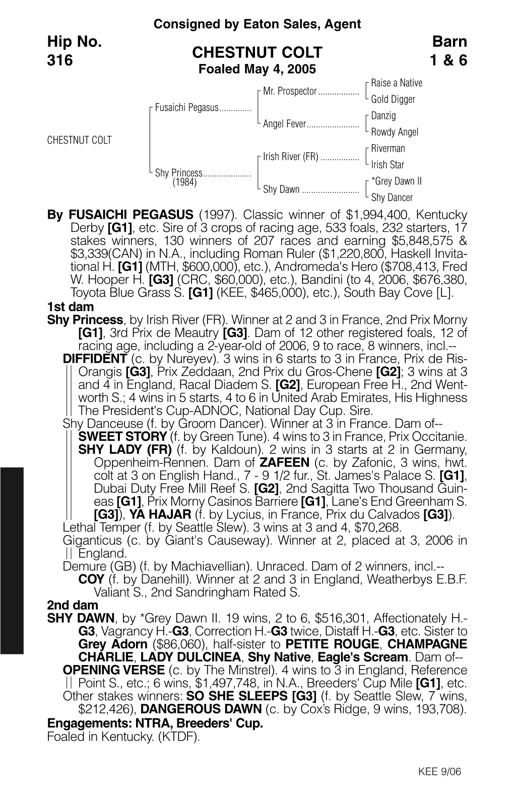 CHESTNUT COLT Barn 1 & 6 Hip No