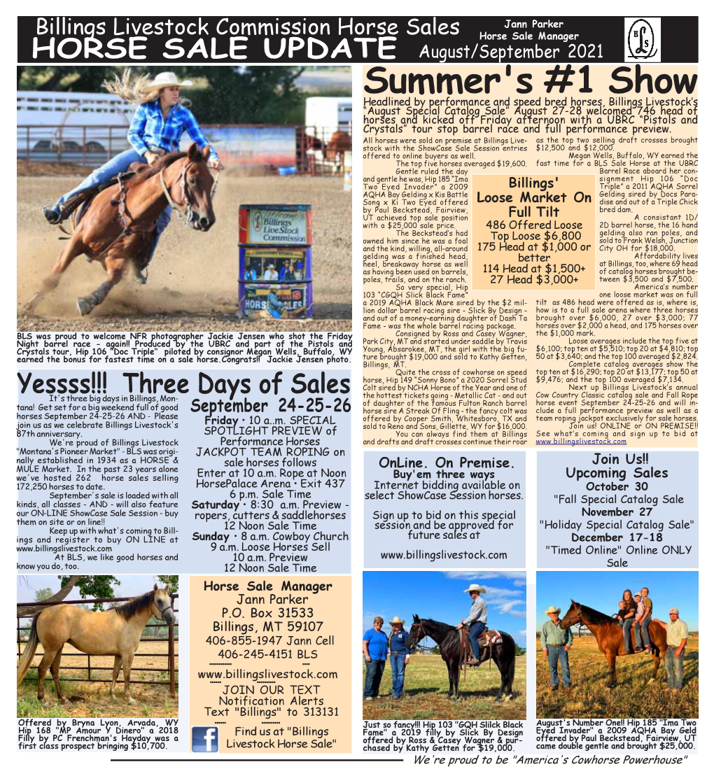 Horse Sale Update