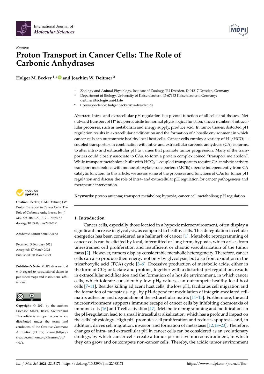 Proton Transport in Cancer Cells: the Role of Carbonic Anhydrases