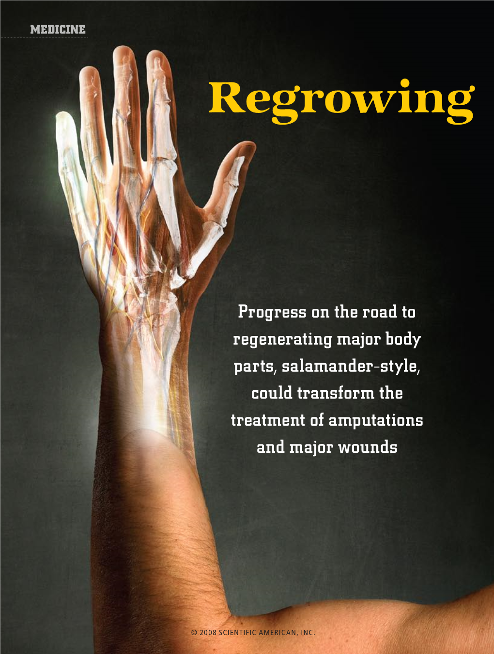 Regrowing Human Limbs