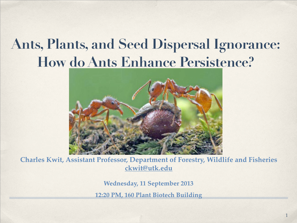 Ants, Plants, and Seed Dispersal Ignorance: How Do Ants Enhance Persistence?