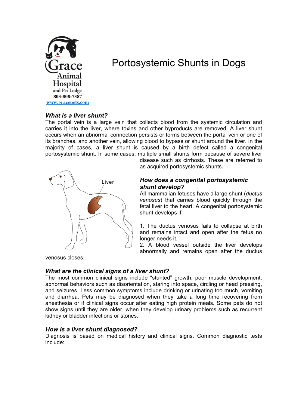 Portosystemic Shunts in Dogs