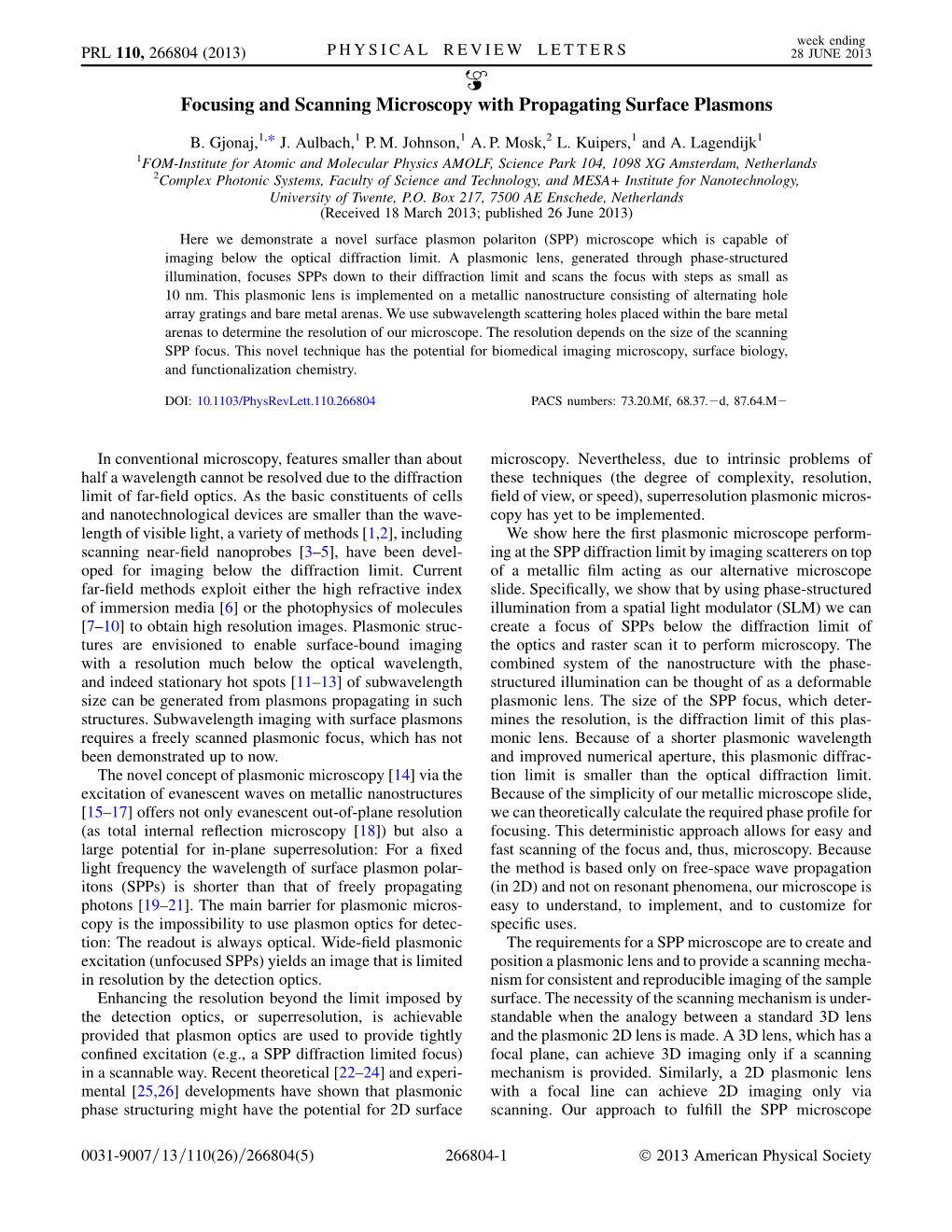 Focusing and Scanning Microscopy with Propagating Surface Plasmons