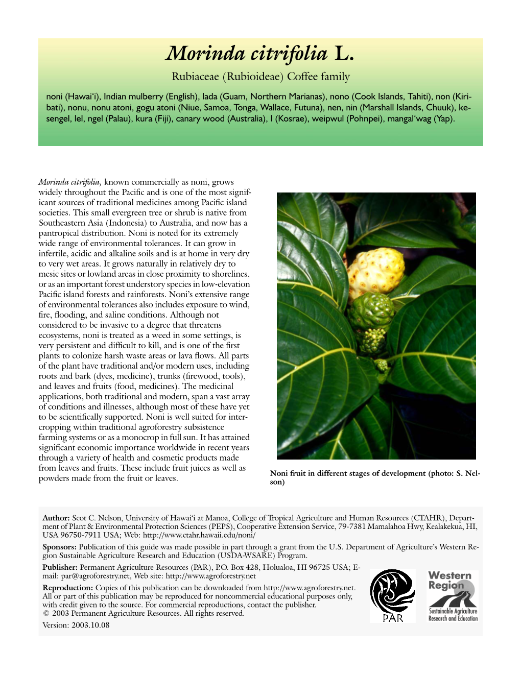 Morinda Citrifolia L. (Noni)