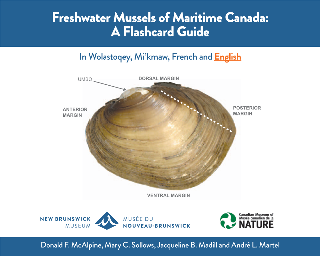 Freshwater Mussels of Maritime Canada: a Flashcard Guide