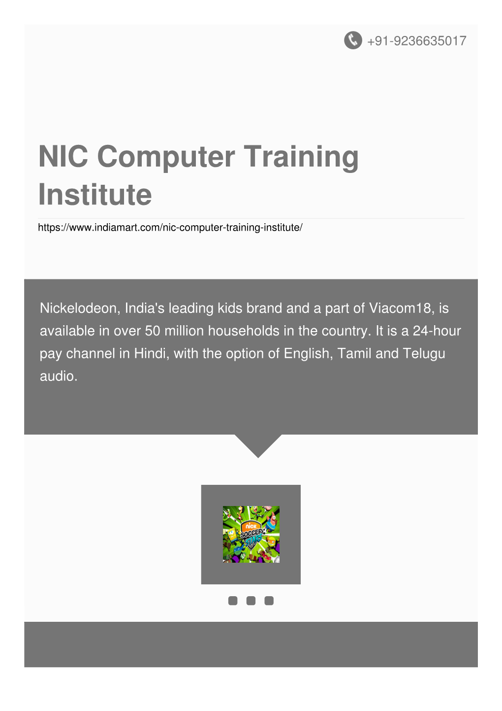 NIC Computer Training Institute
