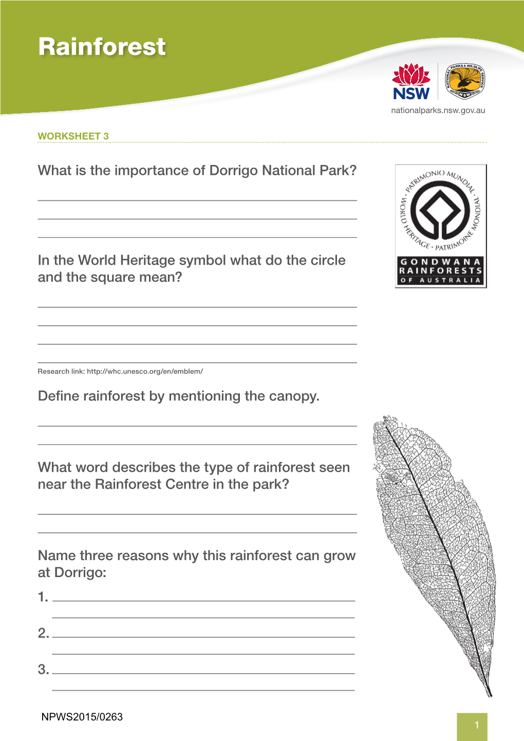 Under the Canopy Worksheets