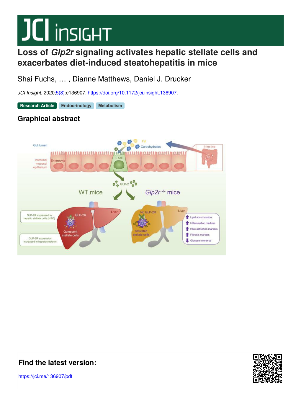 Loss of Glp2r Signaling Activates Hepatic Stellate Cells and Exacerbates Diet-Induced Steatohepatitis in Mice