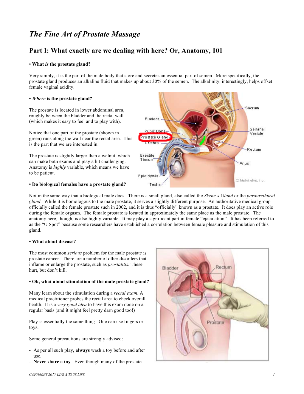 The Fine Art of Prostate Massage