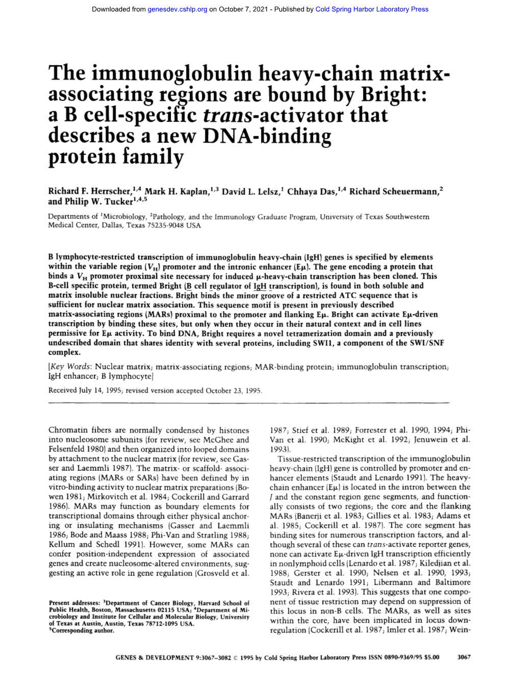 Associating Regions Are Bound by Bright: a B Cell-Specific Trans-Activator That Describes a New DNA-Binding Protein Family