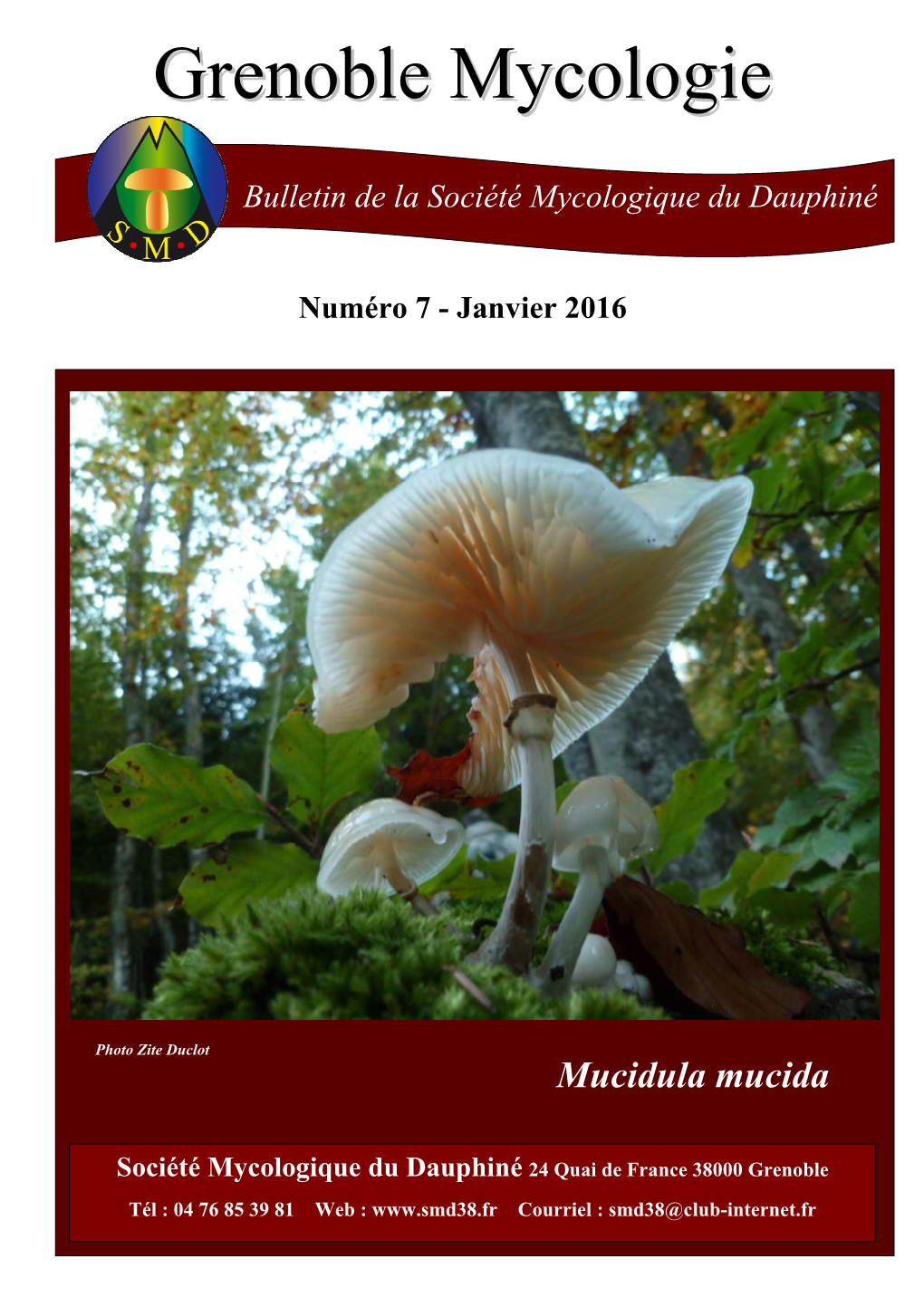 Grenoble Mycologie N°7 Du 12 Janvier 2016