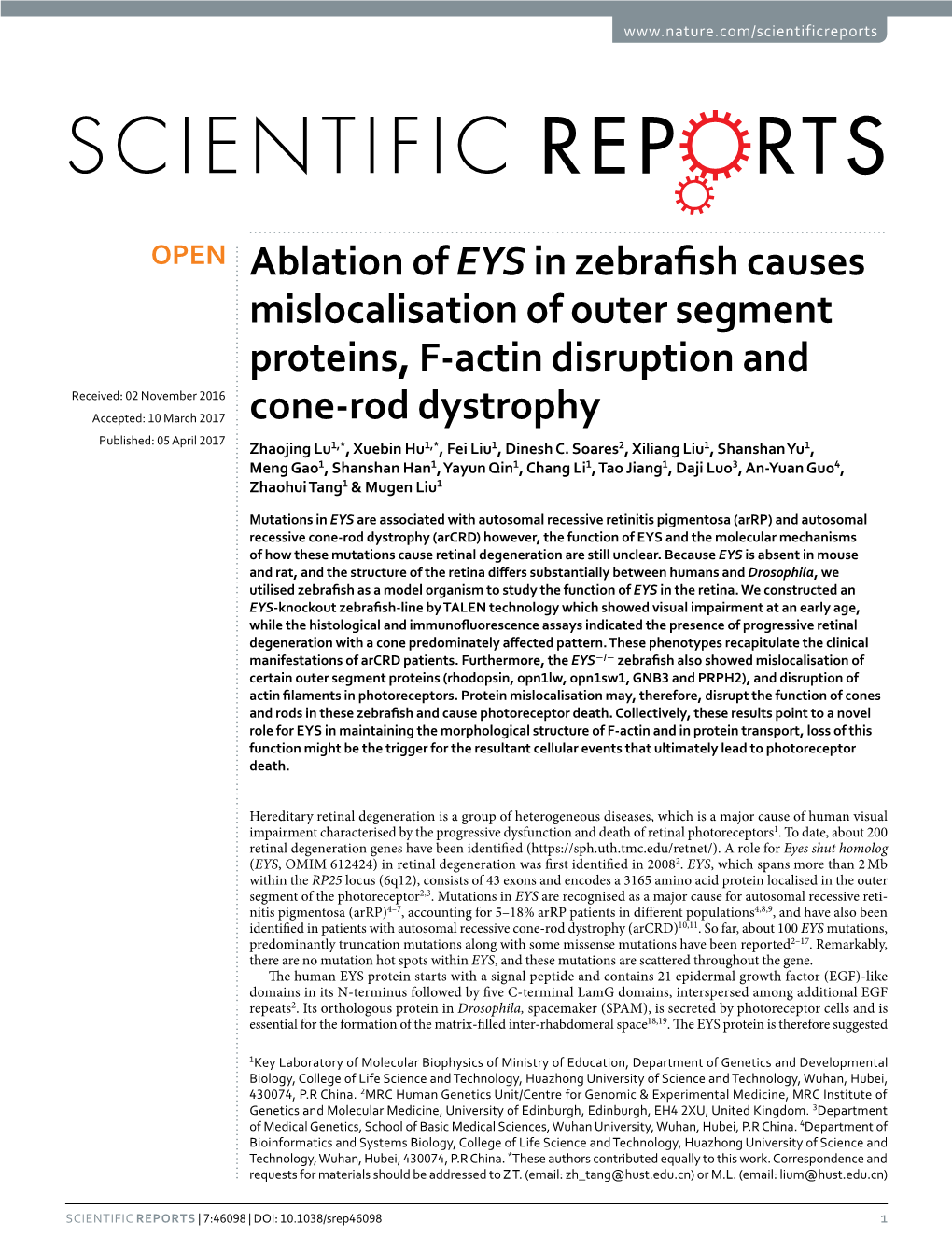 Ablation of EYS in Zebrafish Causes Mislocalisation of Outer Segment