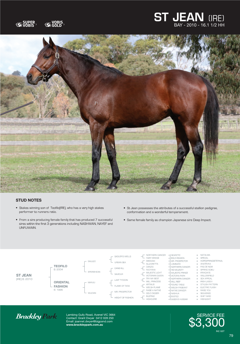 Stallion Brochure