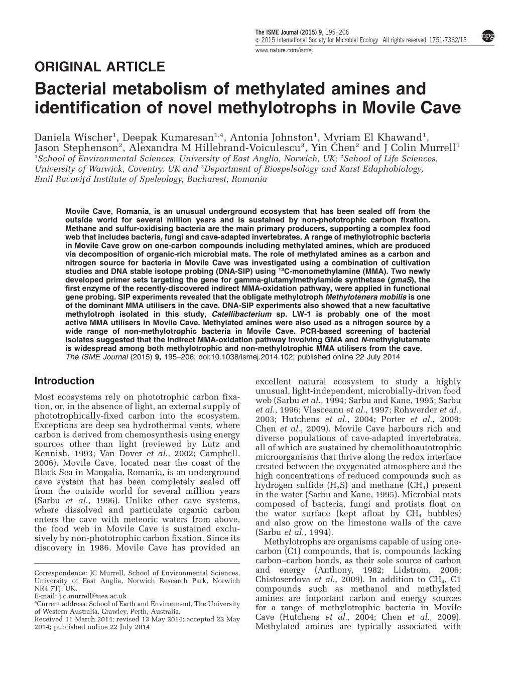 Bacterial Metabolism of Methylated Amines and Identification of Novel Methylotrophs in Movile Cave
